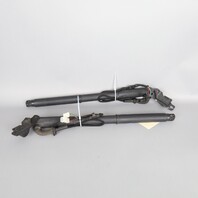 2007-2013 BMW X5 E70 Tailgate Trunk Lid Lift Actuator Shock Pair OEM Used
