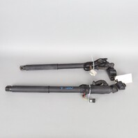2007-2013 BMW X5 Trunk Lid Lift Actuator Shock Pair Right Left 51247172059 OEM Used