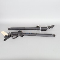 2007-2013 BMW X5 Trunk Lid Lift Actuator Shock Pair Right Left 51247172059 OEM Used