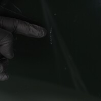 2016-2019 BMW 750Li Left Rear Door Vent Quarter Window 51357373895 OEM Used