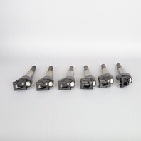BMW 135i 335i 535i X3 X5 X6 N55 Ignition Coil Set of (6) 12137594596 OEM Used