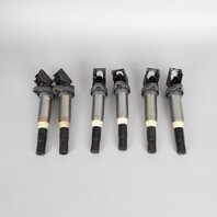 BMW 135i 335i 535i X3 X5 X6 N55 Ignition Coil Set of (6) 12137594596 OEM Used