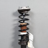 2011-2016 BMW 528i 535i Right Rear Strut Shock Standard 33506863902 OEM Used