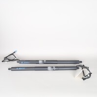 2011-2015 BMW X3 F25 Hatch Lift Support Strut Pair 51247232003 OEM