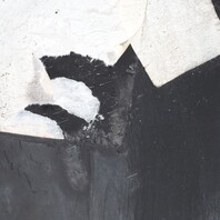 2003-2008 BMW Z4 E85 Right Rocker Panel Molding White 51717068854 OEM Used