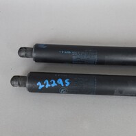 2007-2013 BMW X5 E70 Trunk Hatch Liftgate Strut Shock 51247177283 OEM Used