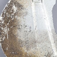 1995-1998 Porsche 911 993 Rear Brake Rotor Backing Plate 99335280102 OEM Used