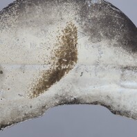 1995-1998 Porsche 911 993 Rear Brake Rotor Backing Plate 99335280102 OEM Used