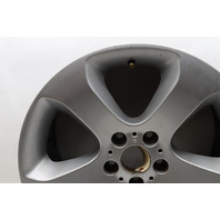 2002-2006 BMW X5 E53 Front Wheel 19 X 9 Style 132 Rim 36116761931 OEM