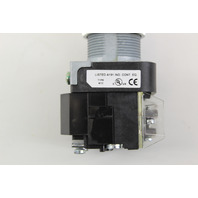 Allen Bradley 800T-16HRH2KB6AX Selector Switch Illuminated NIB