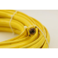 KoneCranes 621160150UL Hoist Pendant Cable 23' External Strain Relief 