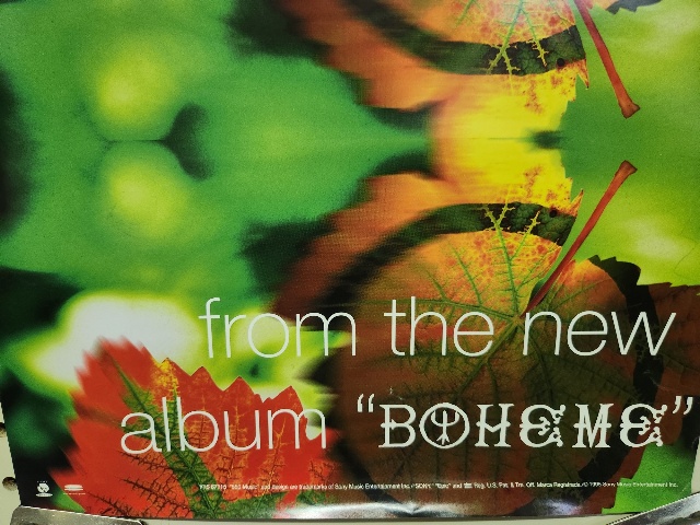deep forest BOHEME レコード Deep Forest 1995 Boheme Original Epic Record Promotional Poster