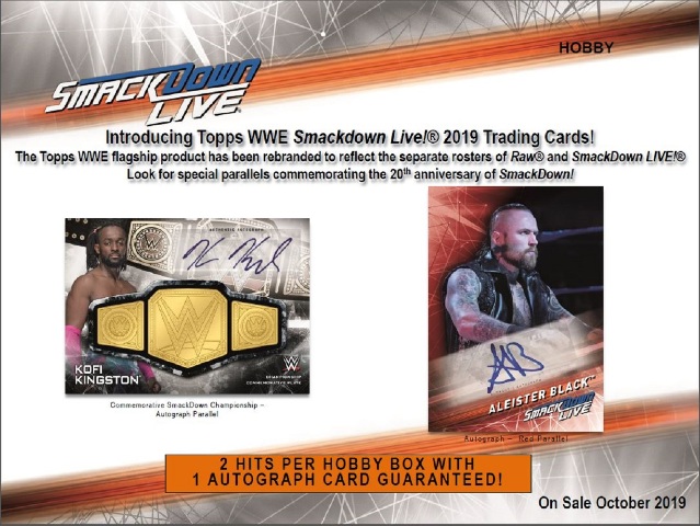 2019 Topps WWE Smackdown Hobby 24 Pack BOX (Factory Sealed)(Random)