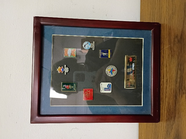 Aminco 2001 Limited Edition Framed Pin Set US Olympic Games #455/2002