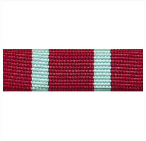 Vanguard RIBBON UNIT #3719