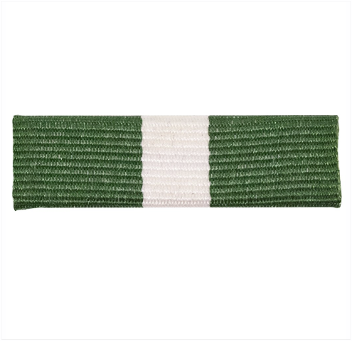 Vanguard RIBBON UNIT #4041: YOUNG MARINE'S SWIMMING