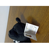 Salvino's Bammers Juan Gonzalez #19 Black Beanie Bear Plush AL "MVP"