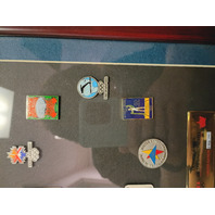 Aminco 2001 Limited Edition Framed Pin Set US Olympic Games #455/2002
