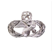 Vanguard AIR FORCE BADGE: TRANSPORTATION: MASTER - REGULATION SIZE