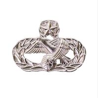 Vanguard AIR FORCE BADGE: TRANSPORTATION: MASTER - MIDSIZE