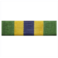 Vanguard RIBBON UNIT TEXAS NATIONAL GUARD HOMELAND DEFENSE