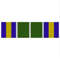 Vanguard RIBBON UNIT #5025: YOUNG MARINE'S ADVANCED FIELD