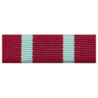 Vanguard RIBBON UNIT #3719