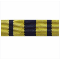 Vanguard RIBBON UNIT #4019