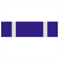 Vanguard RIBBON UNIT #4029