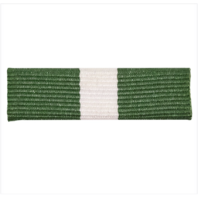 Vanguard RIBBON UNIT #4041: YOUNG MARINE'S SWIMMING