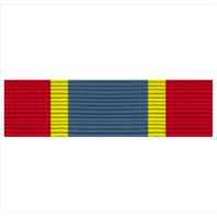 Vanguard RIBBON UNIT #5133: YOUNG MARINE'S UNIT OF THE YEAR