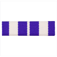 Vanguard RIBBON UNIT #5194: YOUNG MARINE FIRST SERGEANT