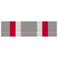 Vanguard RIBBON UNIT #5310: YOUNG MARINE'S PERFECT PHYSICAL FITNESS