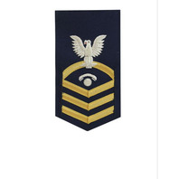 Vanguard COAST GUARD E7 RATING BADGE INFORMATION SPECIALIST "IT" BLUE