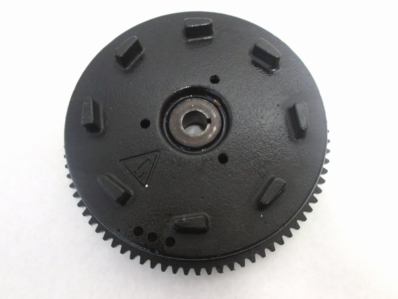 0584453 Flywheel Assembly Evinrude Johnson OMC Freshwater Ignition 1995-2001
