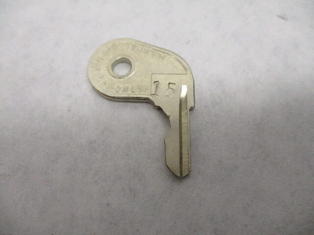 0501780 501780 OMC Ignition Switch Key 73-15 Evinrude Johnson Outboards