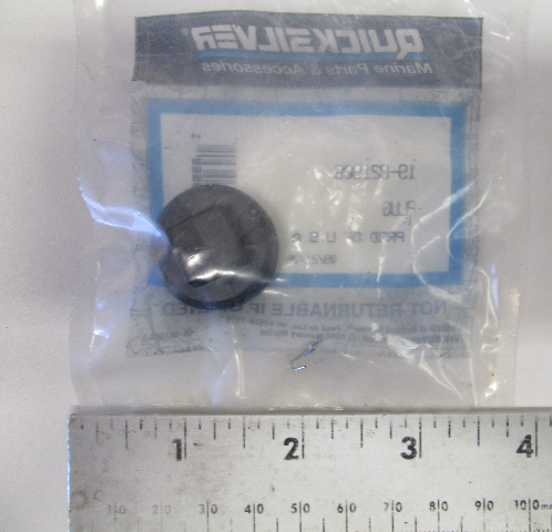 19-821908 Mercury Mariner SportJet Flushing Attach Top Plug