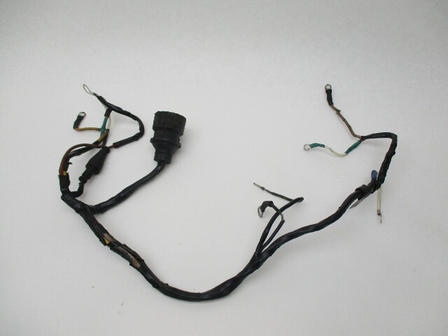 0389764 Engine Wire Harness Evinrude Johnson 25 35 Hp 1977-78 Outboards 0389269