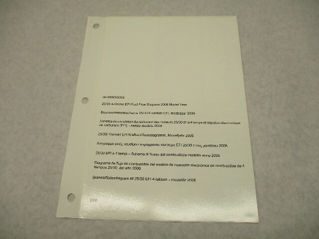 90-899696006 6/06 Fuel Flow Diagram for Mercury 25/30 EFI 4-Stroke 2006