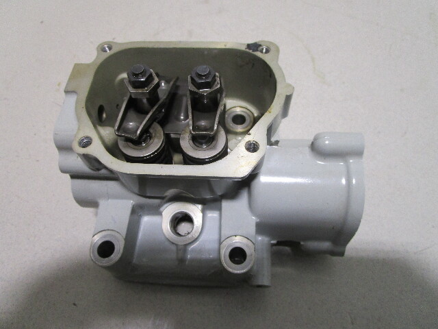 5036167 BRP JOHNSON Cylinder Head 4-6 Hp 4Stroke
