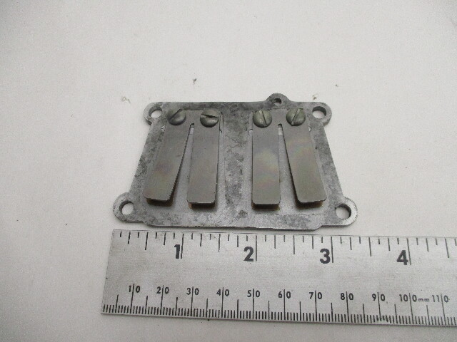 202669 202668 202667 Evinrude 7.5 hp Fleetwin Reed Plate Assembly