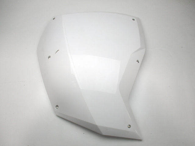0285950 OMC Evinrude E-Tec G2 150 200 HP Starboard Right Side Cowl Cover Panel