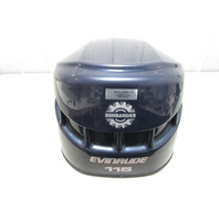 5004953 OMC Evinrude Ficht 115 HP Top Engine Motor Cover Cowl Hood 2002-2003
