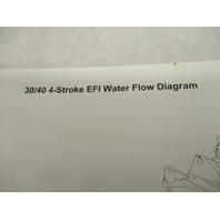 90-899697007 6/06 Water Flow Diagram for Mercury 30/40 EFI 4-Stroke 2002-2007