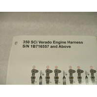 90-899883394 2009 Outboard Engine Harness Wiring Diagram for 2006 350 SCi Verado