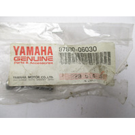 97880-06030-00 New Screw Yamaha Outboard Engines