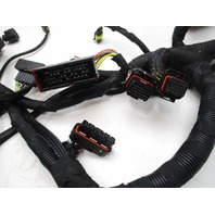Evinrude Etec G2 Outboard Engine Wiring Harness Assembly 0587320