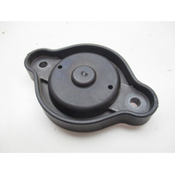 Evinrude ETEC Pressure Relief Valve Assy 0347241 Plate 0347240 Plunger 0347238