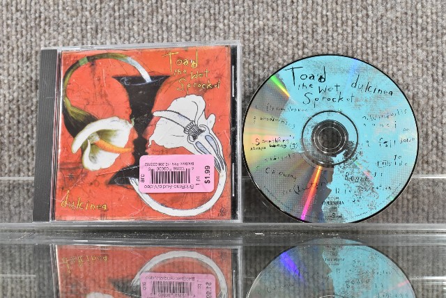 Toad The Wet Sprocket "Dulcinea" Columbia CD 1994