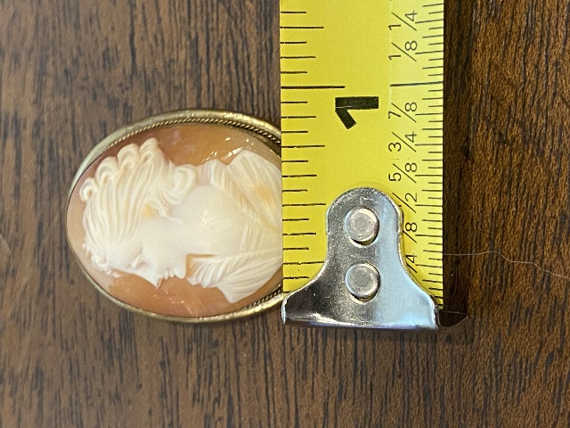 STUNNING ANTIQUE Carved Shell Cameo ART NOUVEAU Woman Brooch/Pendant